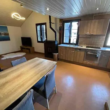 Duplex Entre Geneve Et Lausanne Saint-Livres