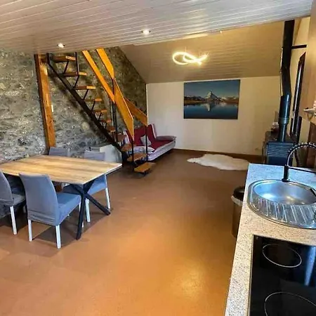 Duplex Entre Geneve Et Lausanne Apartment